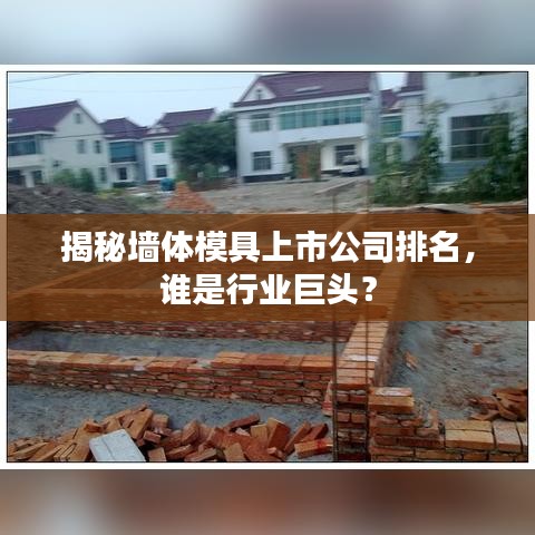 揭秘墙体模具上市公司排名，谁是行业巨头？
