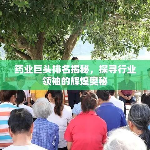 药业巨头排名揭秘，探寻行业领袖的辉煌奥秘