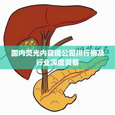 国内荧光内窥镜公司排行榜及行业深度洞察