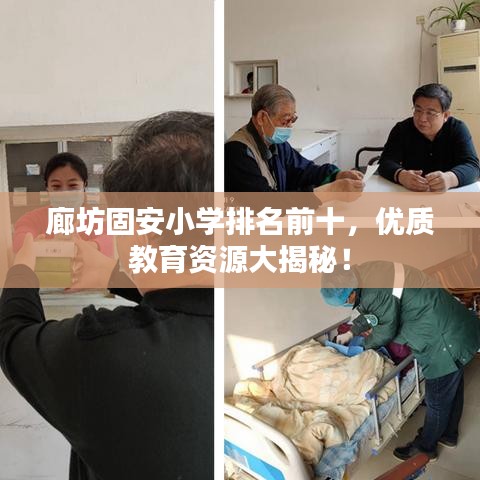 廊坊固安小学排名前十，优质教育资源大揭秘！