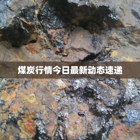 煤炭行情今日最新动态速递