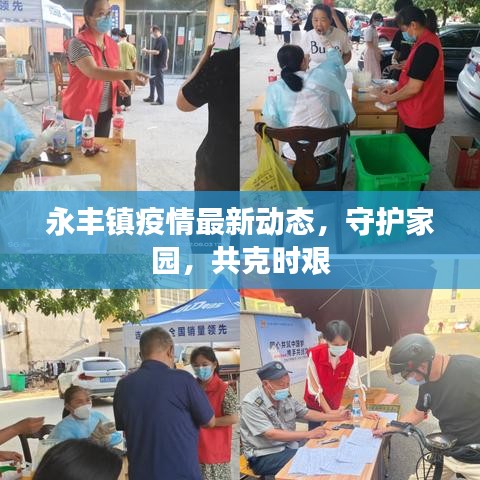 永丰镇疫情最新动态，守护家园，共克时艰