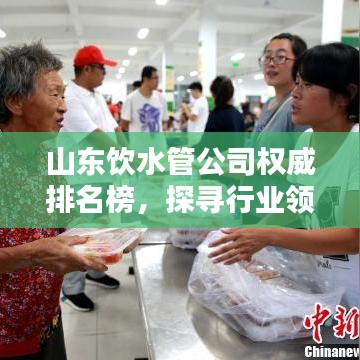 山东饮水管公司权威排名榜，探寻行业领军者