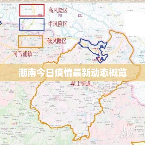 潮南今日疫情最新动态概览