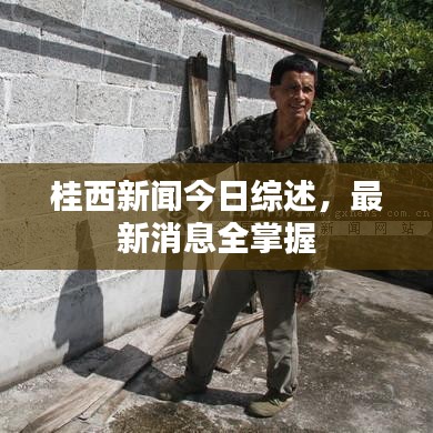 桂西新闻今日综述，最新消息全掌握