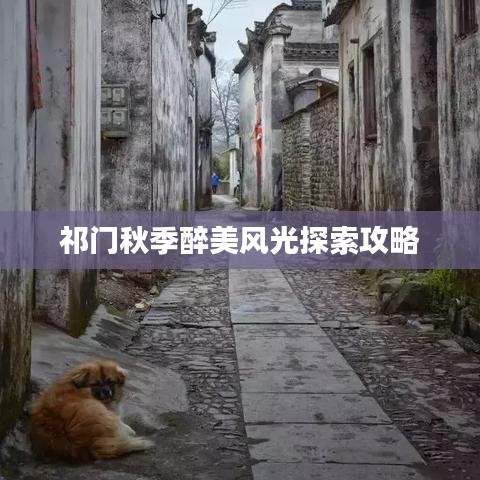 祁门秋季醉美风光探索攻略