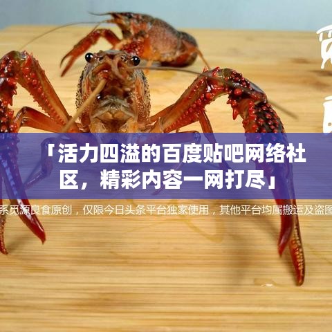 「活力四溢的百度贴吧网络社区，精彩内容一网打尽」