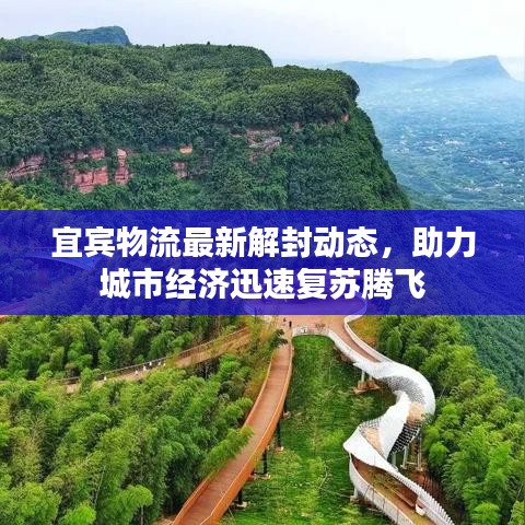 宜宾物流最新解封动态，助力城市经济迅速复苏腾飞