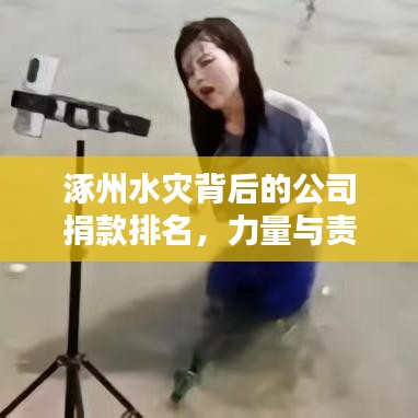 涿州水灾背后的公司捐款排名，力量与责任的较量