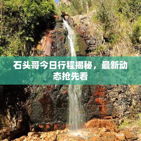 石头哥今日行程揭秘，最新动态抢先看