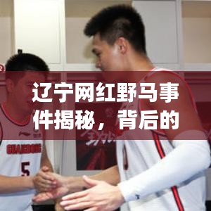 辽宁网红野马事件揭秘，背后的故事与公众关注焦点热议视频！