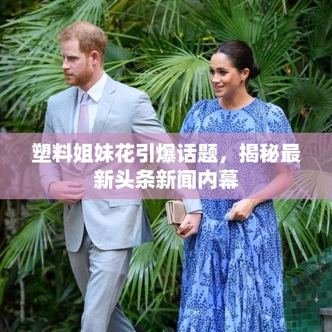 塑料姐妹花引爆话题，揭秘最新头条新闻内幕
