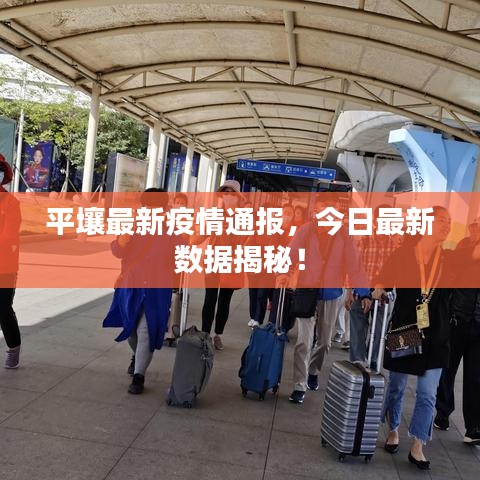 平壤最新疫情通报，今日最新数据揭秘！