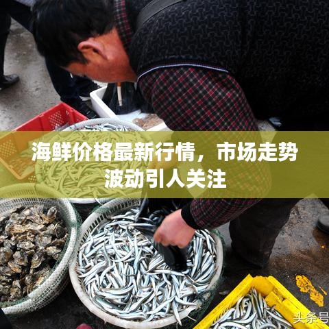海鲜价格最新行情，市场走势波动引人关注