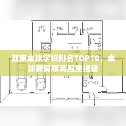 湖南桌球学校排名TOP10，桌球教育精英殿堂揭秘