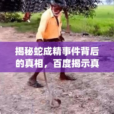 揭秘蛇成精事件背后的真相，百度揭示真相探寻之旅！