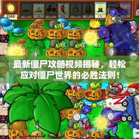 最新僵尸攻略视频揭秘，轻松应对僵尸世界的必胜法则！