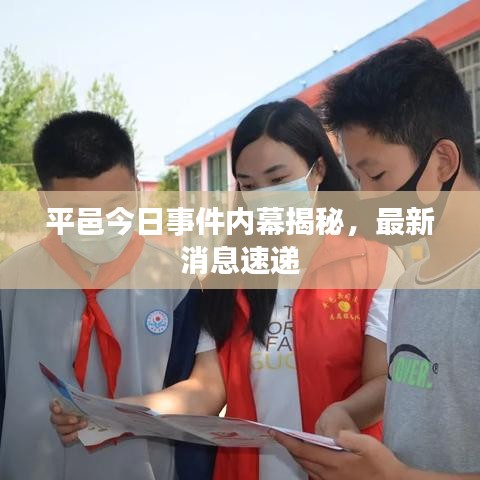 平邑今日事件内幕揭秘，最新消息速递