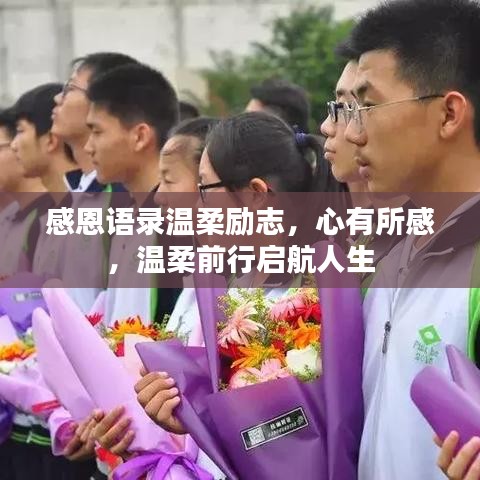 感恩语录温柔励志，心有所感，温柔前行启航人生