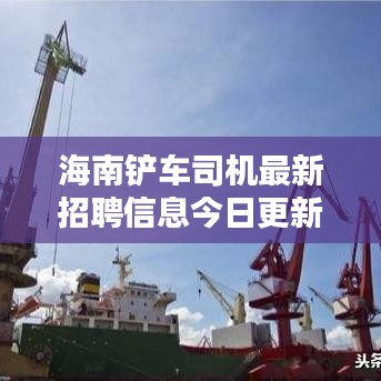 海南铲车司机最新招聘信息今日更新