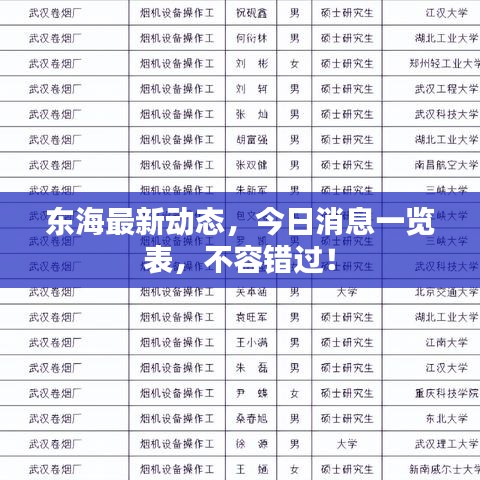 东海最新动态，今日消息一览表，不容错过！