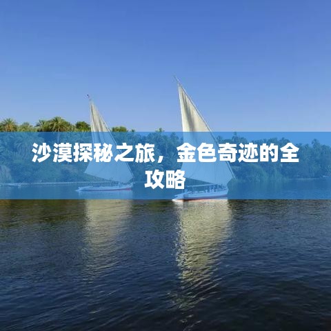 沙漠探秘之旅，金色奇迹的全攻略