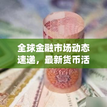 全球金融市场动态速递，最新货币活动深度解析