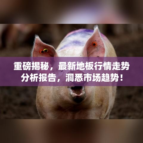 重磅揭秘，最新地板行情走势分析报告，洞悉市场趋势！