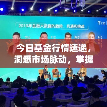 今日基金行情速递，洞悉市场脉动，掌握投资决策关键信息
