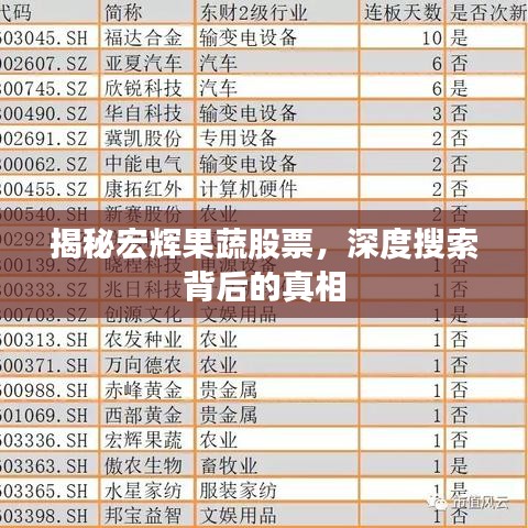 揭秘宏辉果蔬股票，深度搜索背后的真相