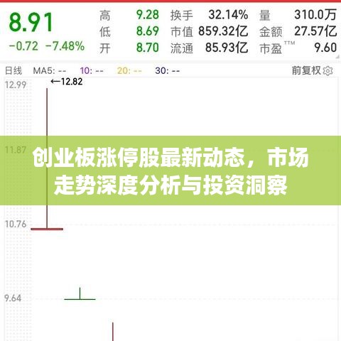 创业板涨停股最新动态，市场走势深度分析与投资洞察