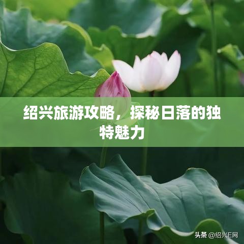 绍兴旅游攻略，探秘日落的独特魅力