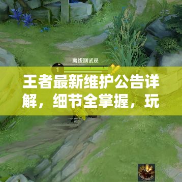 王者最新维护公告详解，细节全掌握，玩家必览！