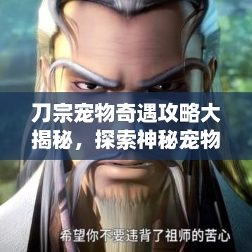 刀宗宠物奇遇攻略大揭秘，探索神秘宠物世界的宝藏之门