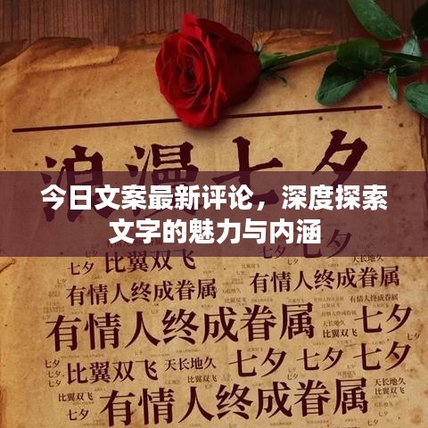 今日文案最新评论，深度探索文字的魅力与内涵