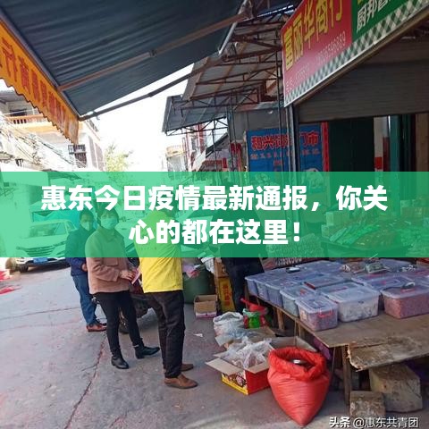惠东今日疫情最新通报，你关心的都在这里！