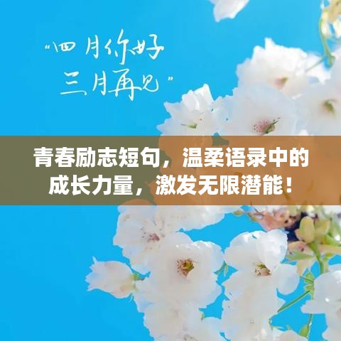 青春励志短句，温柔语录中的成长力量，激发无限潜能！