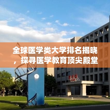 全球医学类大学排名揭晓，探寻医学教育顶尖殿堂
