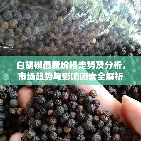 白胡椒最新价格走势及分析，市场趋势与影响因素全解析