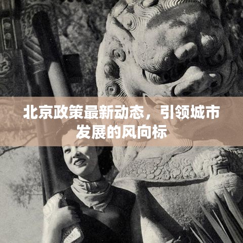 北京政策最新动态，引领城市发展的风向标