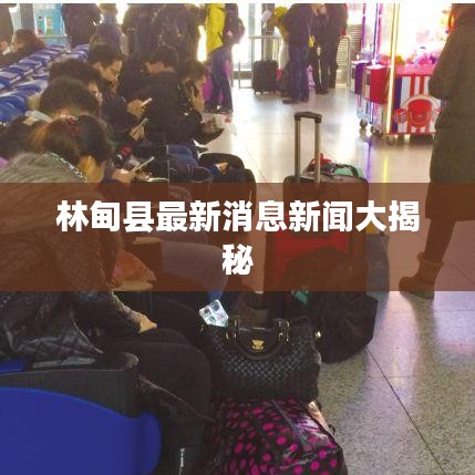 林甸县最新消息新闻大揭秘