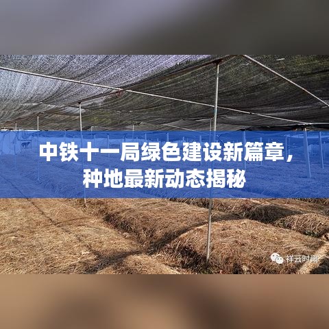 中铁十一局绿色建设新篇章，种地最新动态揭秘
