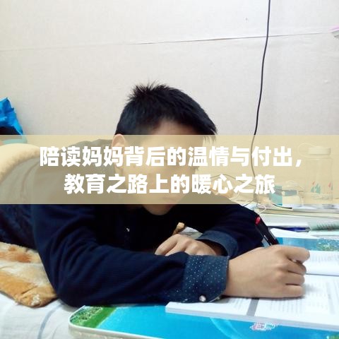 陪读妈妈背后的温情与付出，教育之路上的暖心之旅