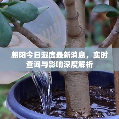 朝阳今日湿度最新消息，实时查询与影响深度解析