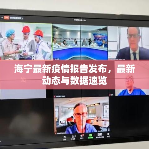 海宁最新疫情报告发布，最新动态与数据速览