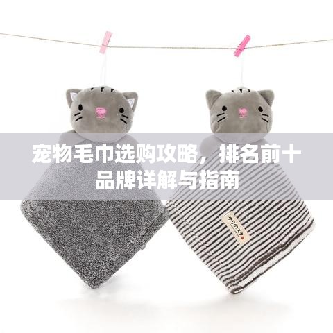 宠物毛巾选购攻略，排名前十品牌详解与指南
