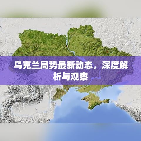 乌克兰局势最新动态，深度解析与观察