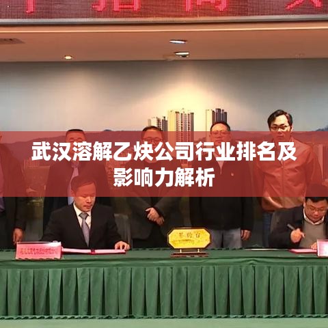 武汉溶解乙炔公司行业排名及影响力解析