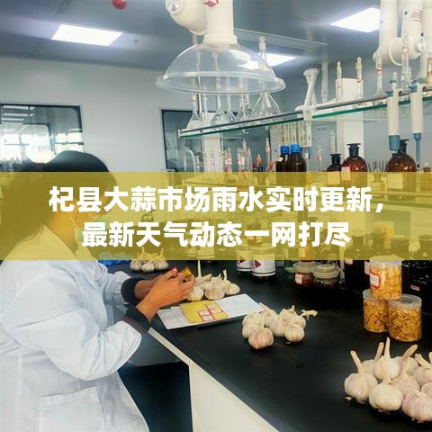 杞县大蒜市场雨水实时更新，最新天气动态一网打尽