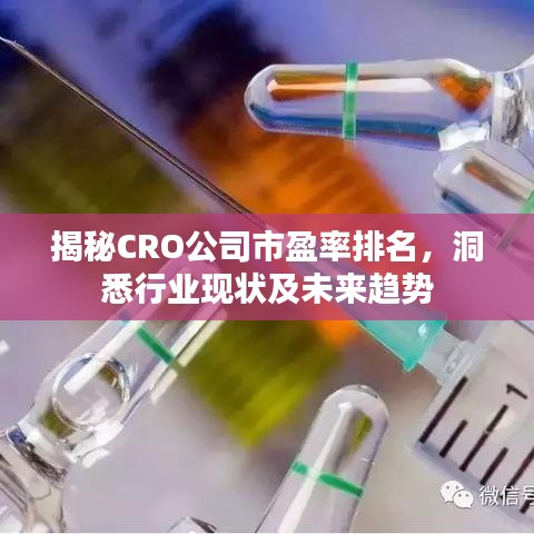 揭秘CRO公司市盈率排名，洞悉行业现状及未来趋势